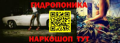 spice Брянск