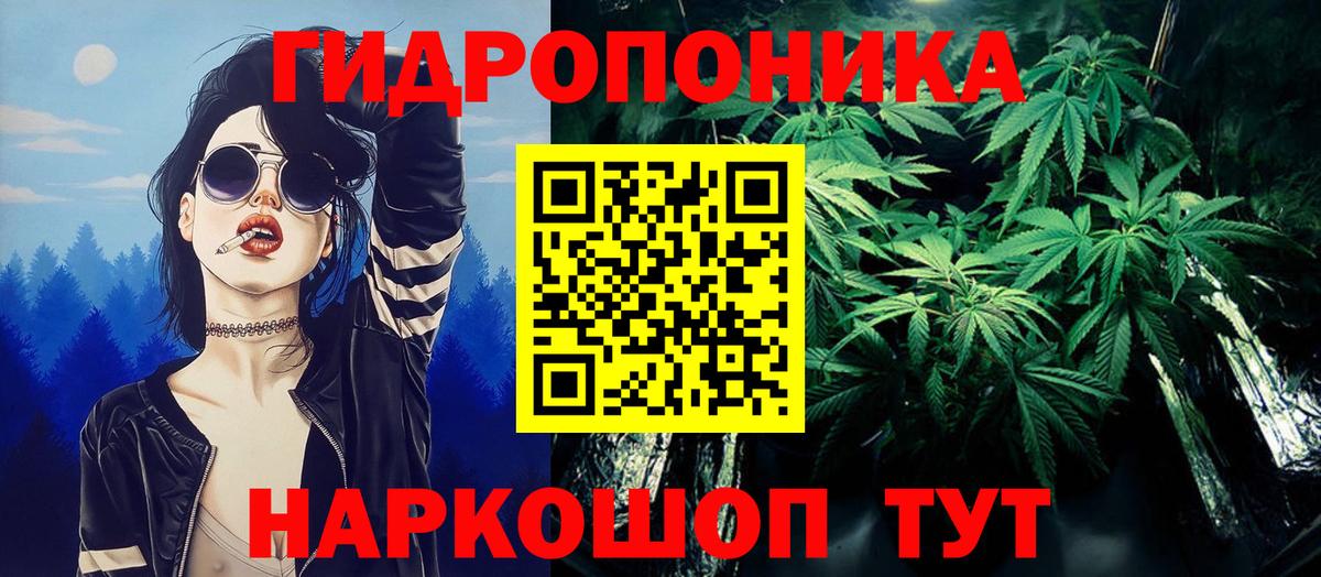 Шишки марихуана Ganja Касимов